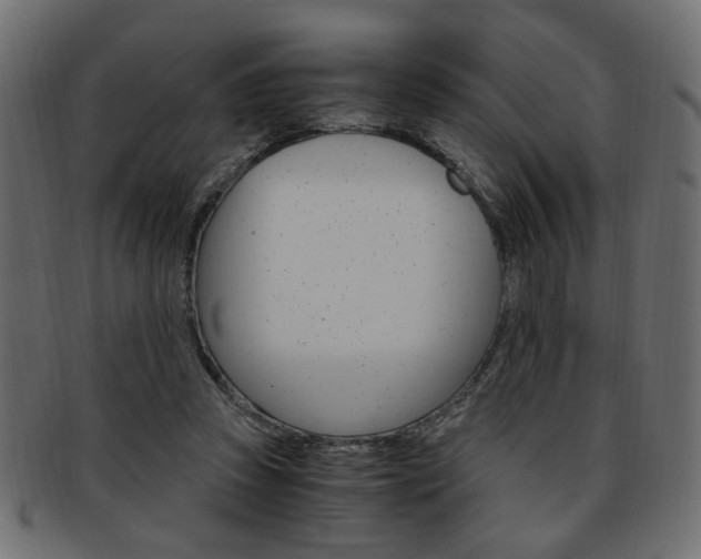 X0000094080353200710190923