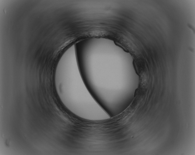 X0000094080356200710190923