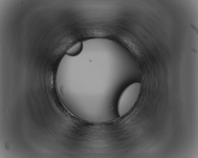 X0000094080358200710190923