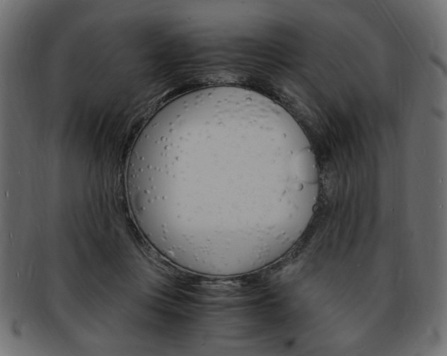 X0000094080359200710190923