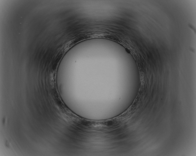 X0000094080360200710190923