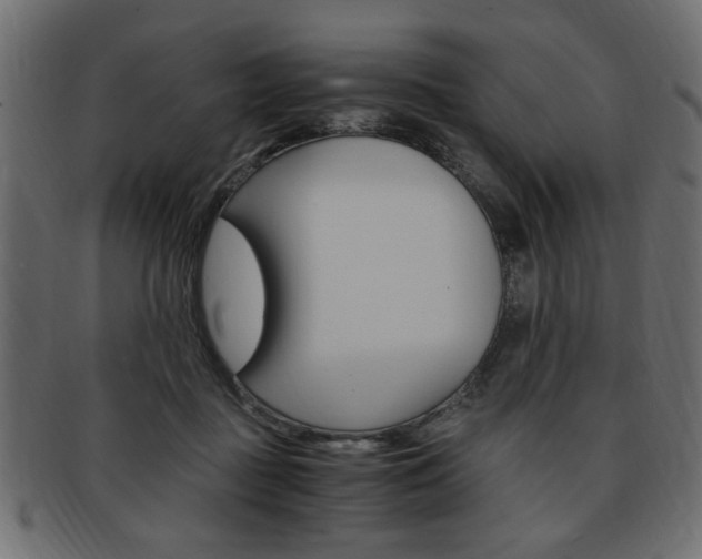 X0000094080363200710190923