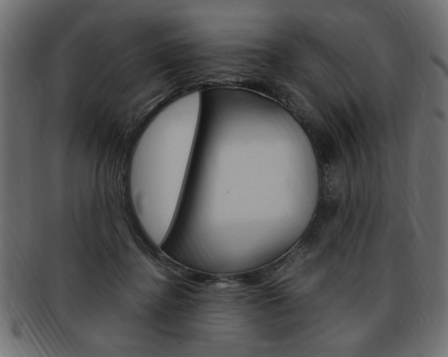 X0000094080364200710190923