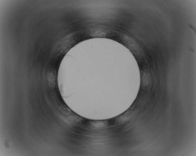 X0000094080370200710190923