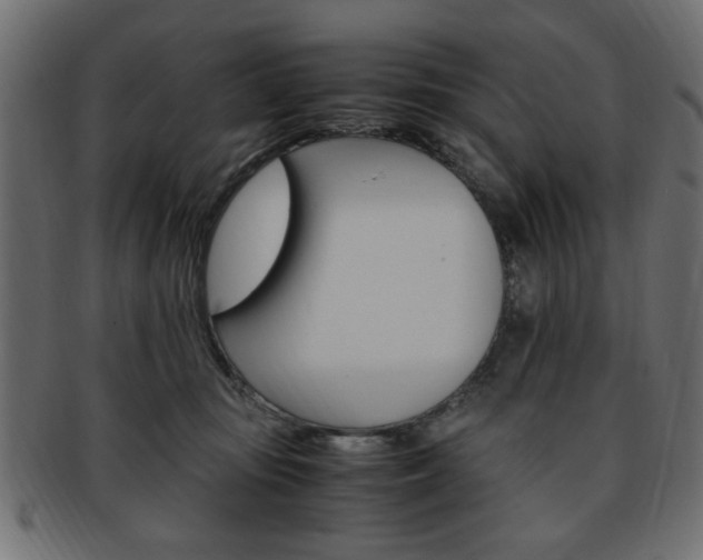 X0000094080371200710190923