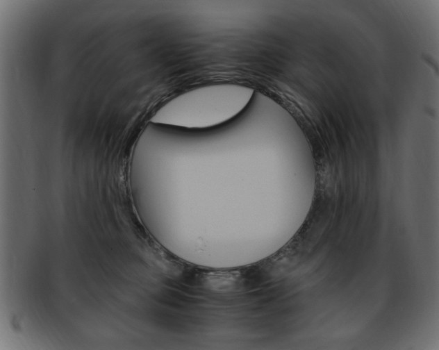 X0000094080373200710190923