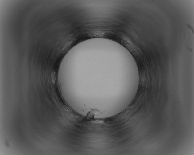 X0000094080374200710190923