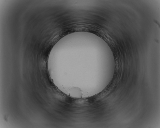 X0000094080375200710190923