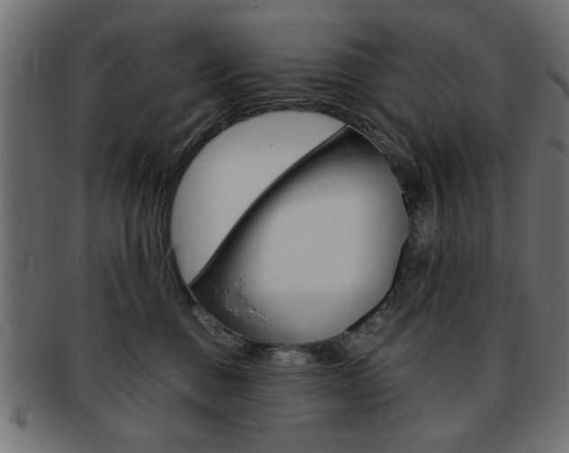 X0000094080376200710190923