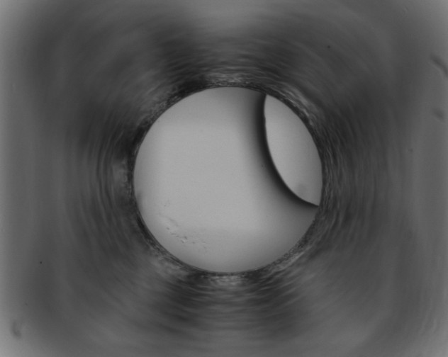 X0000094080377200710190923