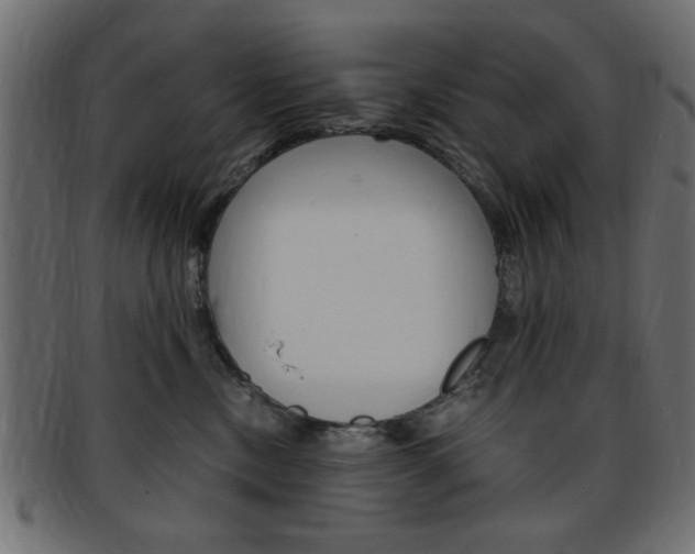 X0000094080378200710190923