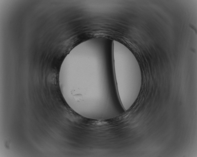 X0000094080379200710190923