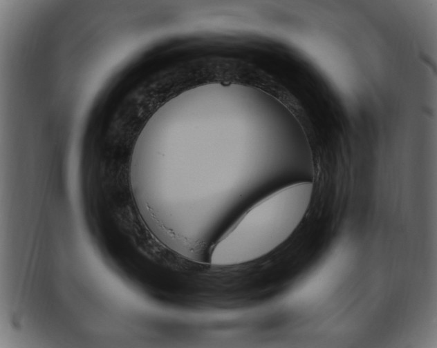 X0000094080383200710190923