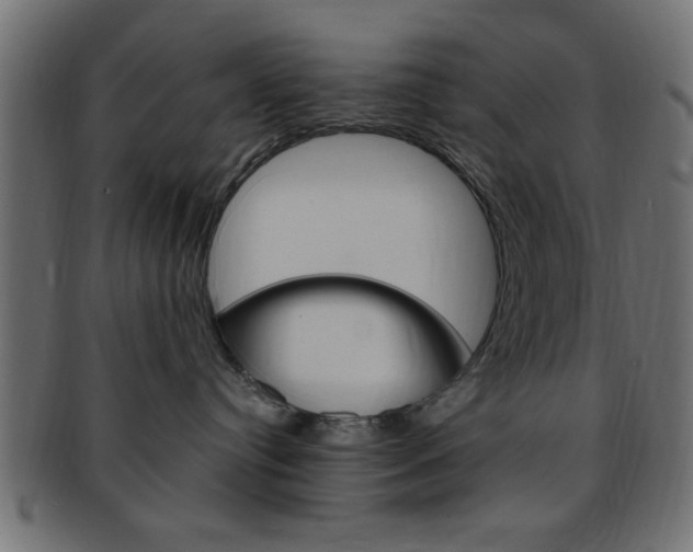 X0000094080384200710190923