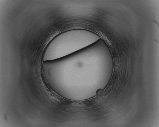 X0000094080386200710190922