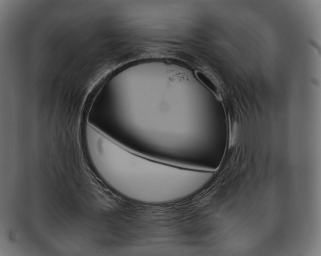 X0000094080387200710190922