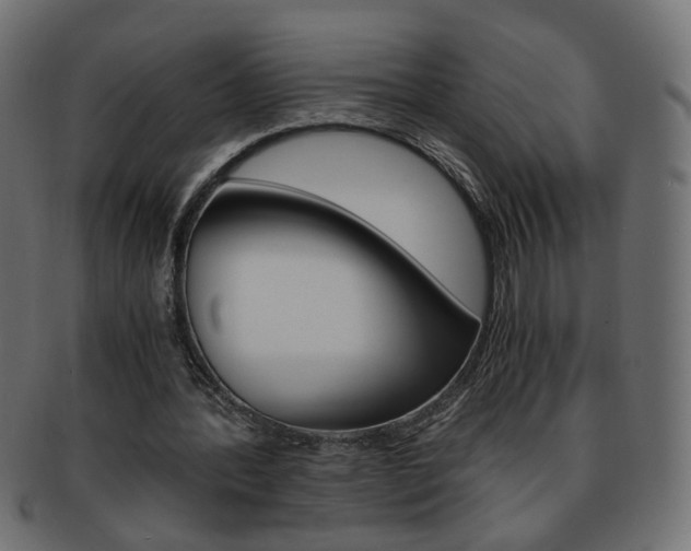X0000094080388200710190922