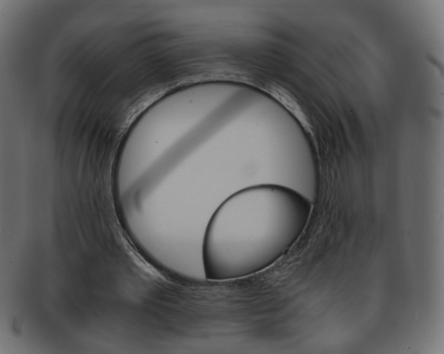 X0000094080389200710190922