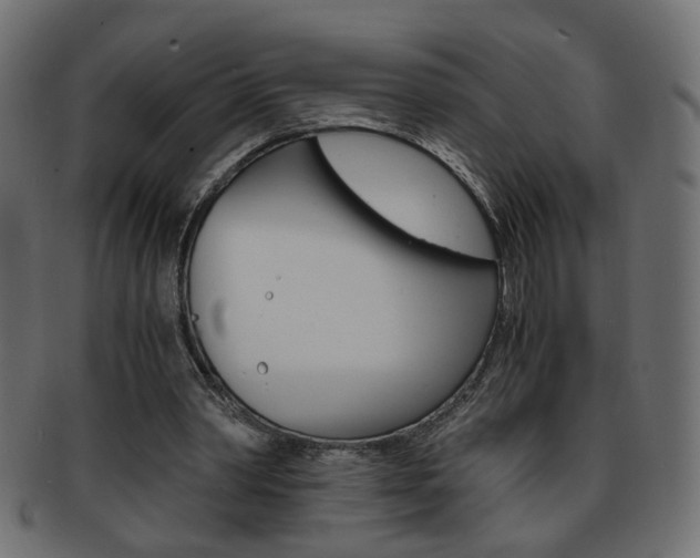 X0000094080390200710190922