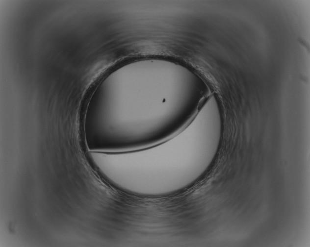 X0000094080391200710190922