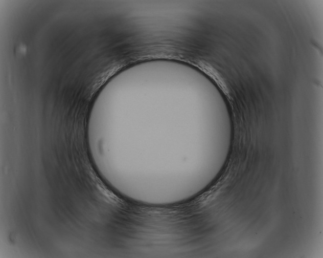 X0000094080393200710190922