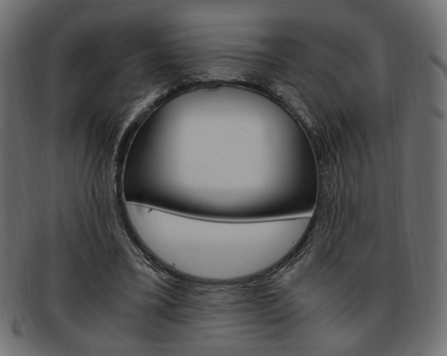 X0000094080395200710190922