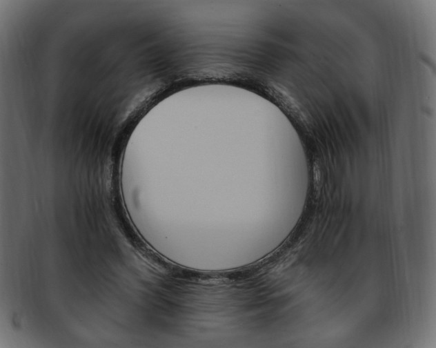 X0000094080396200710190922