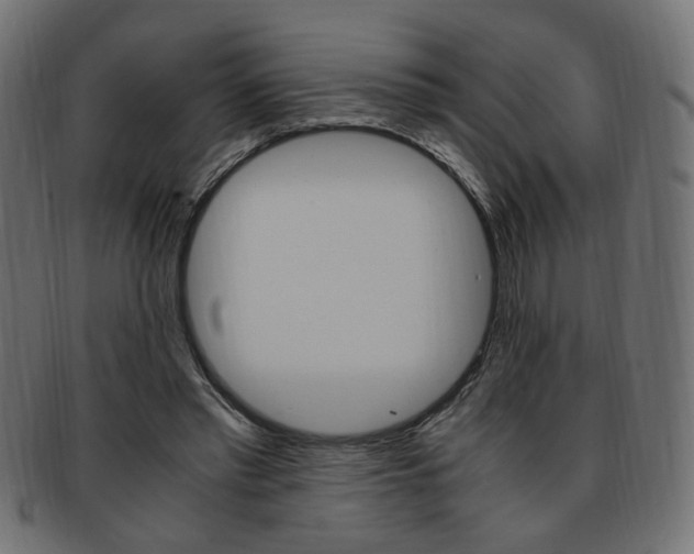 X0000094080397200710190922