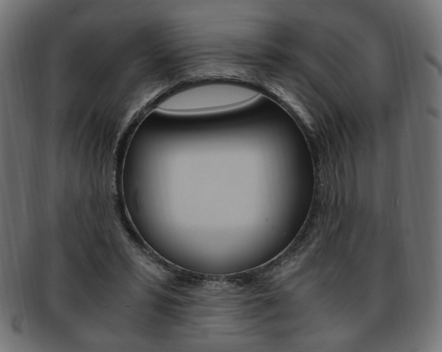 X0000094080399200710190922