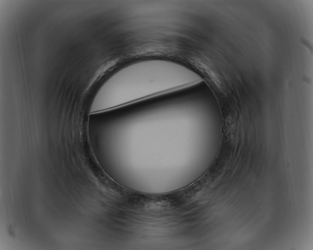 X0000094080400200710190922