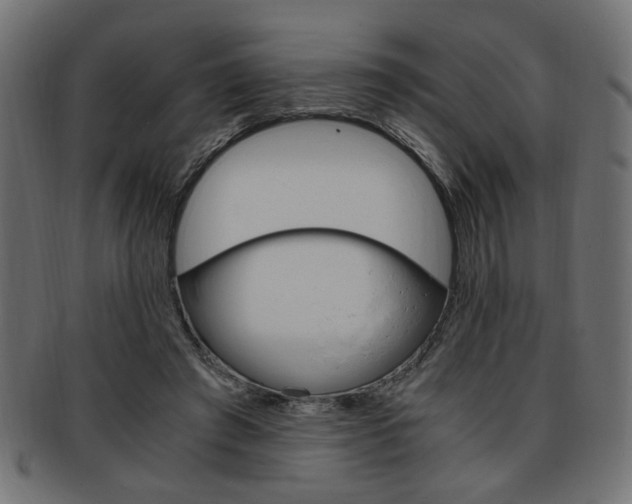 X0000094080401200710190922