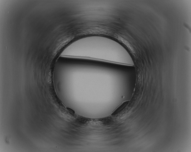 X0000094080403200710190922