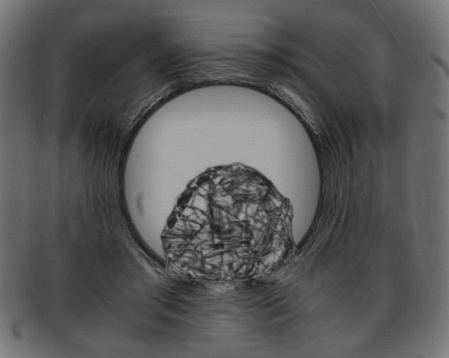 X0000094080405200710190922