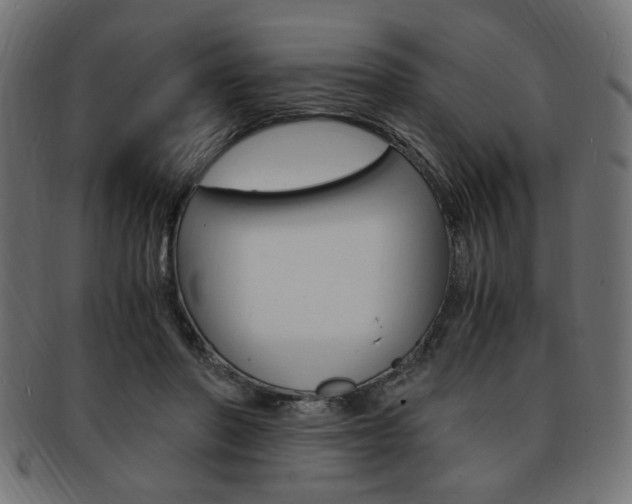 X0000094080406200710190922