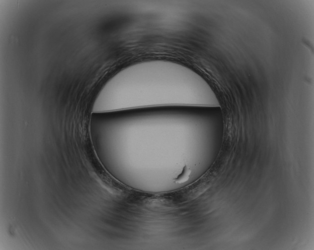 X0000094080408200710190922