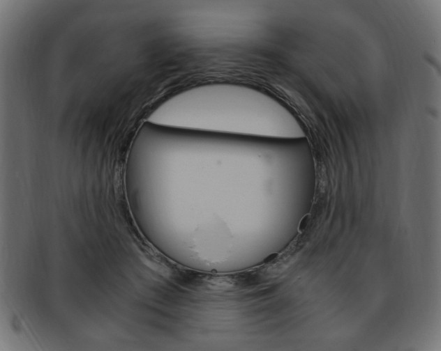 X0000094080409200710190922
