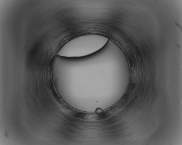 X0000094080410200710190922