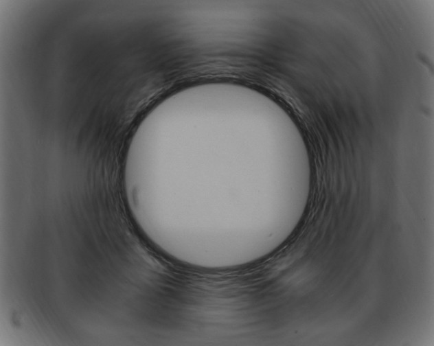 X0000094080411200710190922