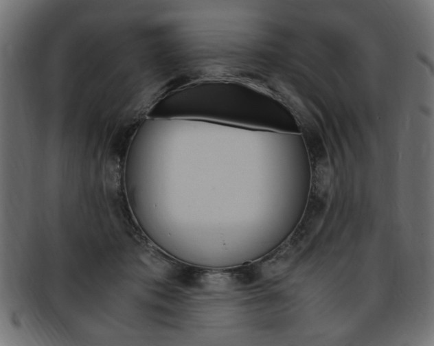 X0000094080413200710190922