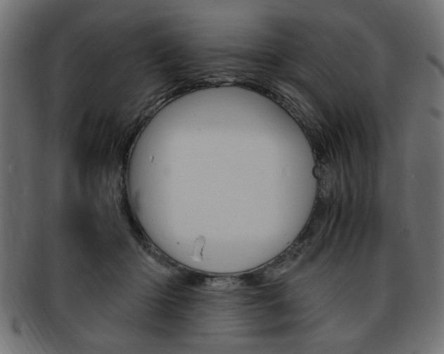 X0000094080414200710190922