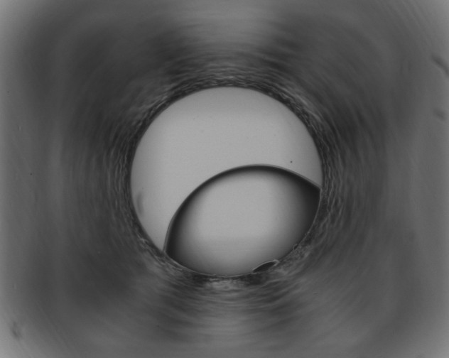 X0000094080417200710190922