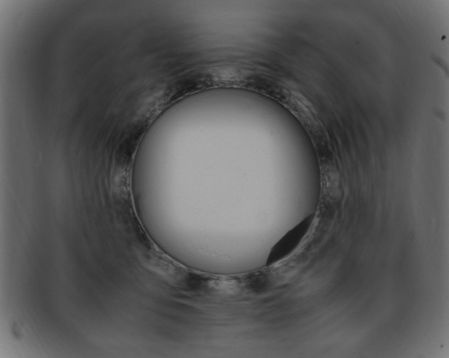X0000094080419200710190922