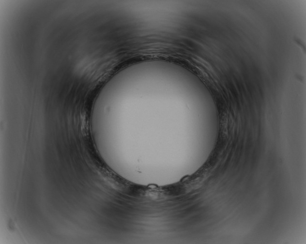X0000094080420200710190922