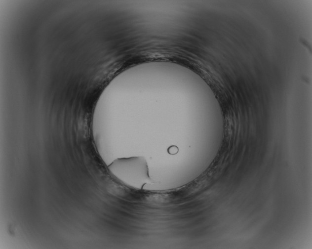 X0000094080422200710190922