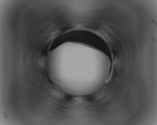 X0000094080423200710190922