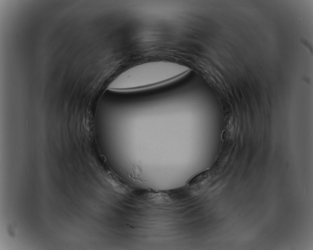 X0000094080424200710190922