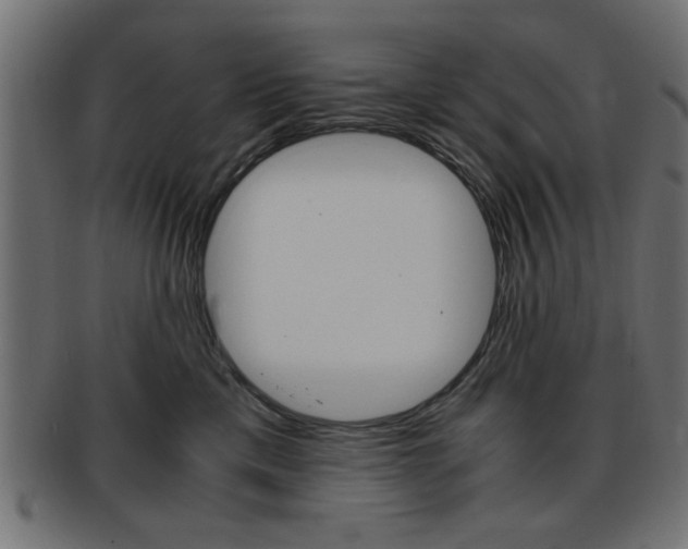 X0000094080425200710190922