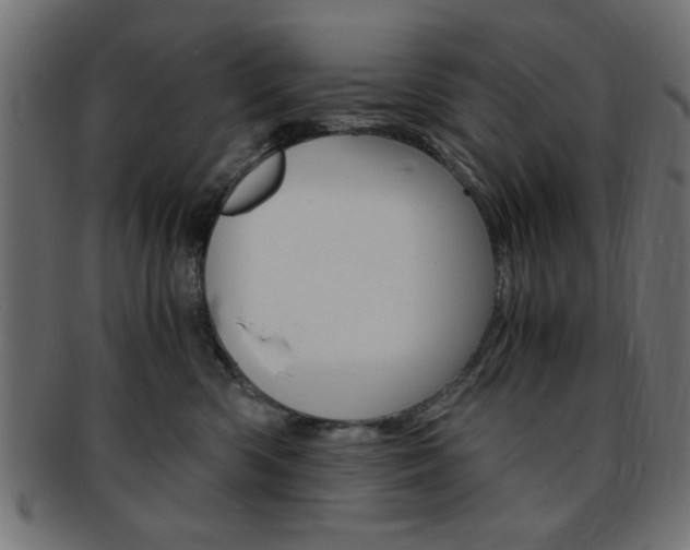 X0000094080426200710190922