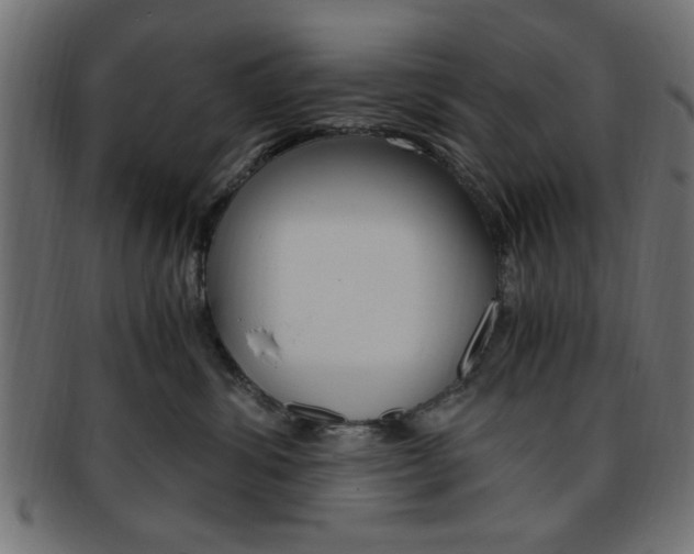 X0000094080428200710190922