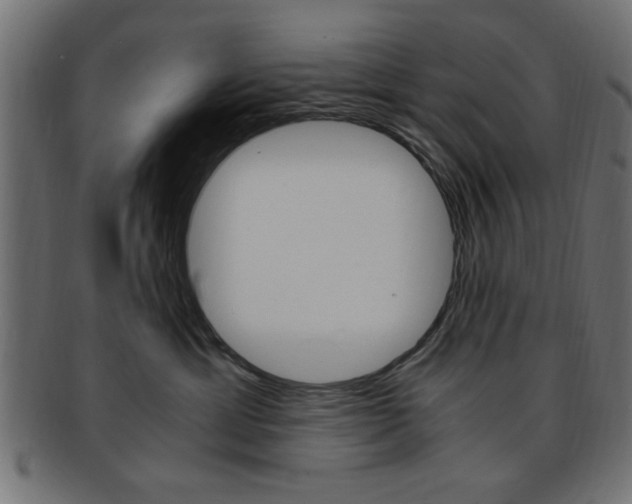 X0000094080429200710190922